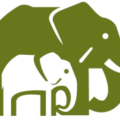 KWS-White-removebg-preview